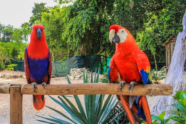 Scape Park Beach Club Cap Cana